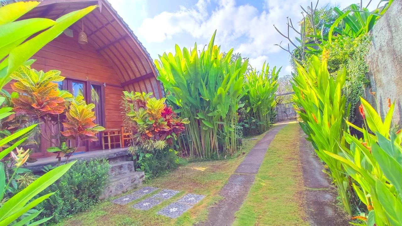 Morning Bali Bungalow Canggu Kültér fotó