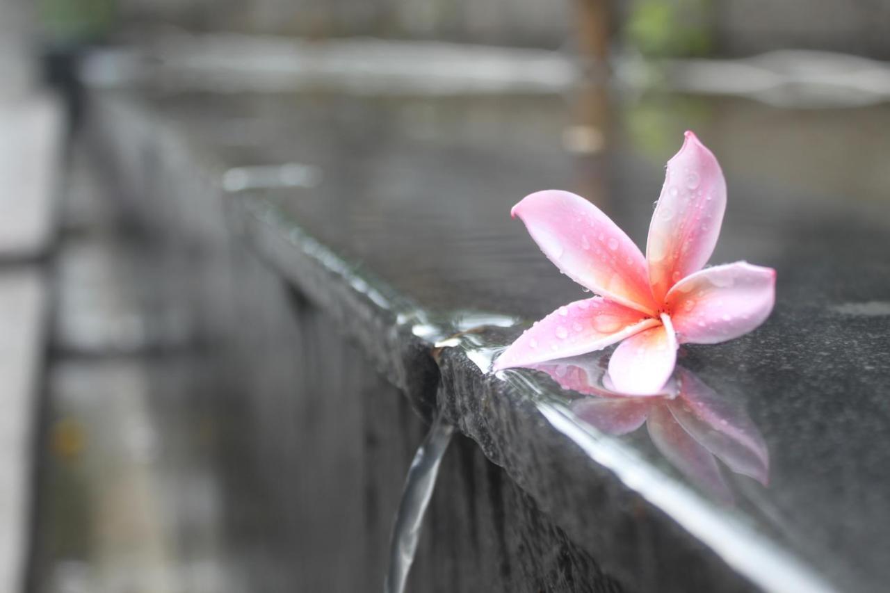 Morning Bali Bungalow Canggu Kültér fotó